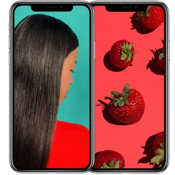 iPhone X giá rẻ sẽ ra mắt trong năm sau