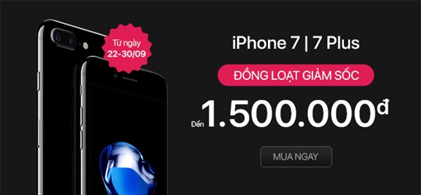 iPhone - mua