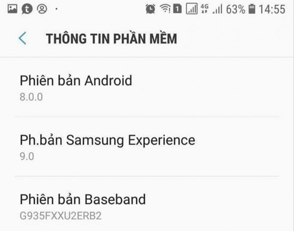 Mẹo