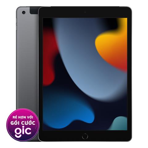 iPad (Gen 9) LTE 256GB