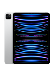 iPad Pro 11 inch (thế hệ thứ 4)