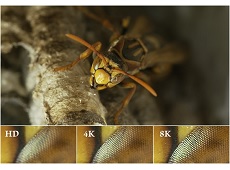 So sánh công nghệ video 4K và 8K: Bước đột phá lớn về công nghệ