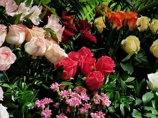 So sánh camera Huawei P30 Pro và OPPO Reno 10x Zoom: Ngôi vương sẽ gọi tên 'ai'?